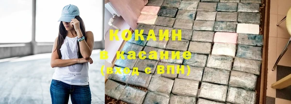 индика Алзамай