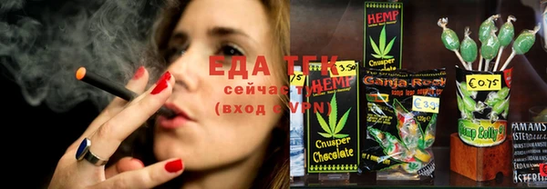 индика Алзамай