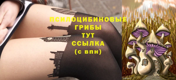 индика Алзамай