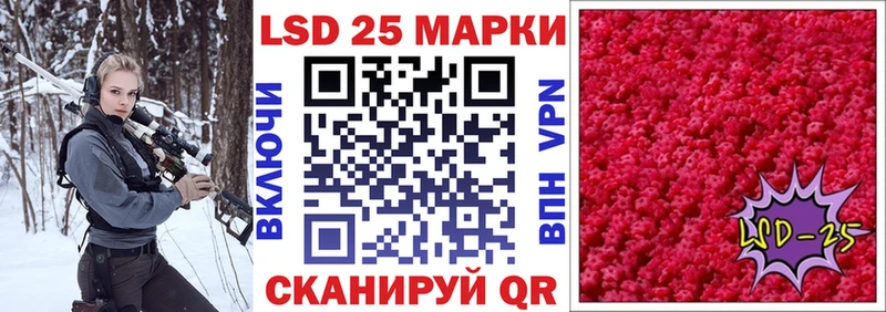 где купить наркоту  Бердск  OMG зеркало  Наркотические марки 1,8мг 