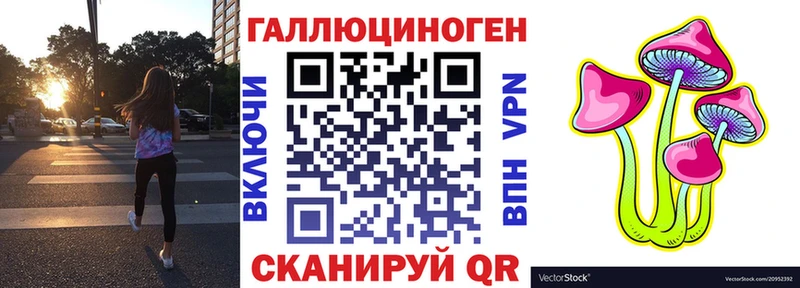 omg   Бердск  Псилоцибиновые грибы Cubensis 